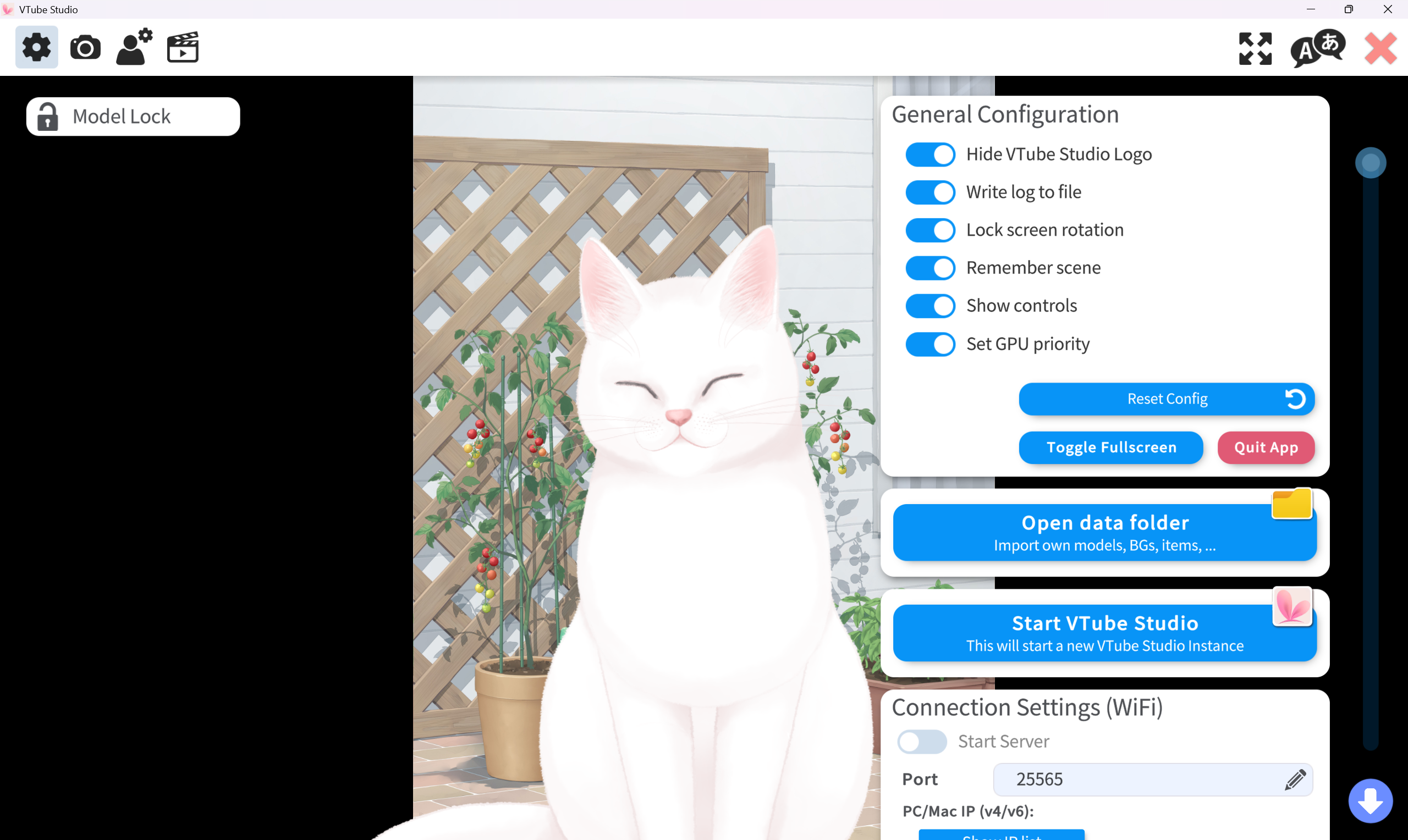 Screenshot of Warudo, a VTubing client app, used as market research